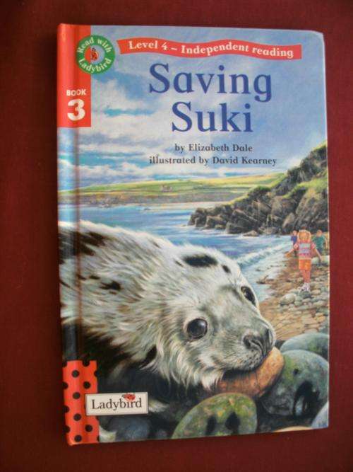 Book - Read with Ladybird - Level 4 Book 3