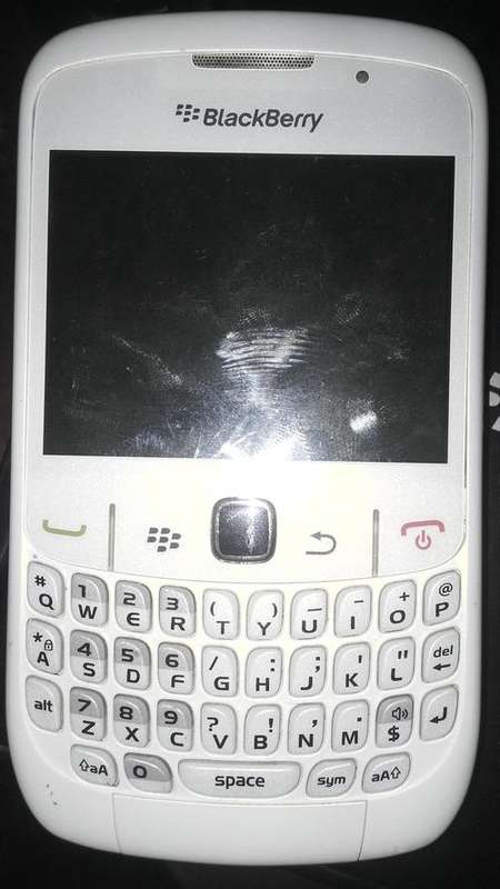 WHITE BLACK BERRY
