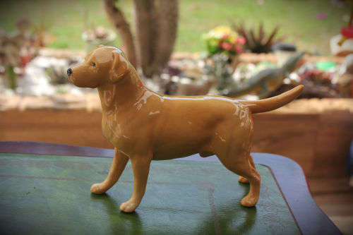 Beswick Figurine Labrador "Solomon of Wendover" -140x210x53mm