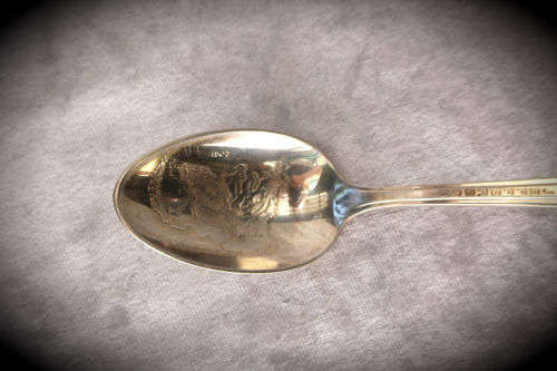 Collectable Wm. Rogers Mfg. Co. Presidential Silver Plate Spoon featuring Thomas Jefferson 153mm