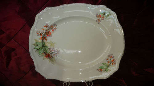 Vintage Alfred Meakin Meat Platter