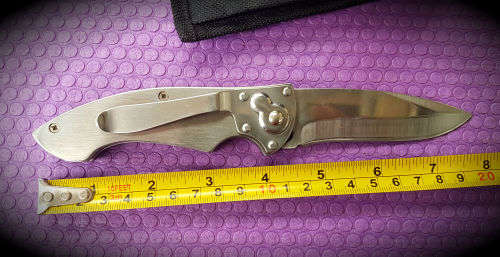 Stainless steel Folding knife with sheath