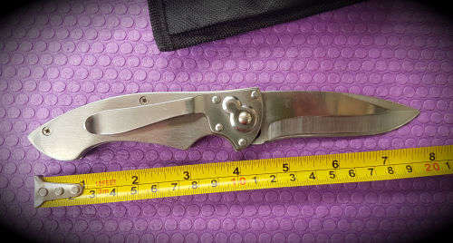 Stainless steel Folding knife with sheath