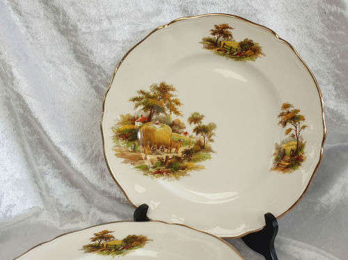 6 x 1950's Alfred Meakin "THE HAYRIDE " Pattern Dinner Plates -255mm