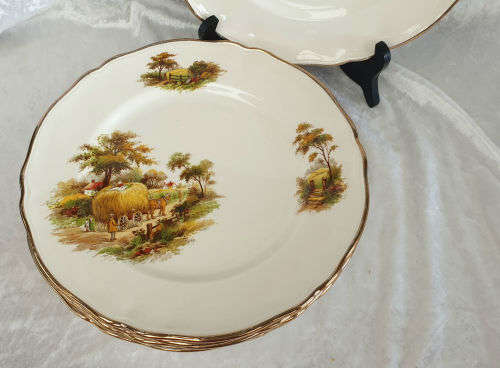 6 x 1950's Alfred Meakin "THE HAYRIDE " Pattern Dinner Plates -255mm