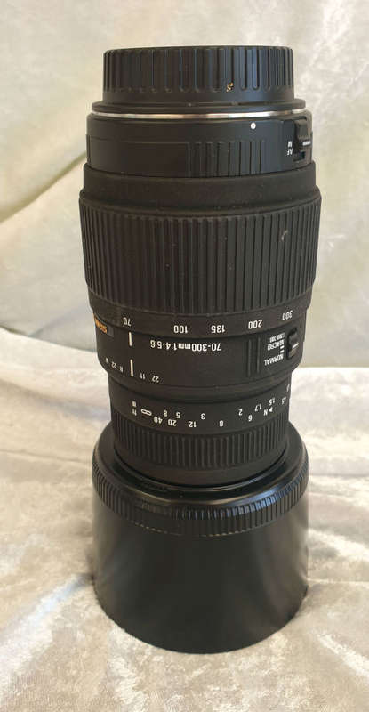 Canon E0S 550D Digital SLR Camera & Cannon EF-S 18-55 IS Lens Kit + Sigma 70-300mm Lens plus ..