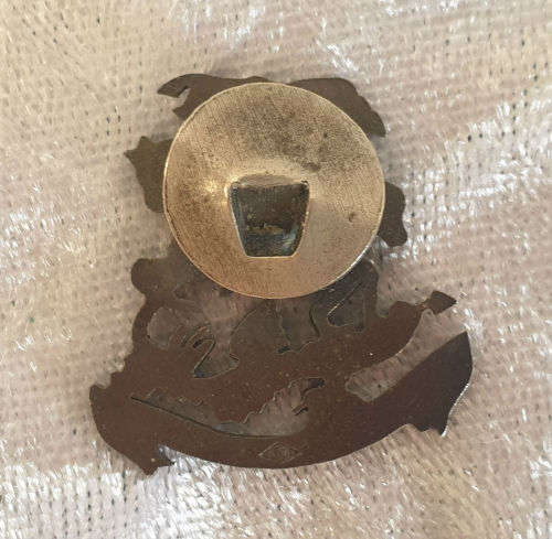 Rare Royal Society of Saint George `Vestigia nulla retrorsum` Badge 25x25mm