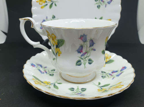 Vintage  Royal Albert "Windermere" Trio  - Cup has chips on bottom rim and a nick on top- see photos