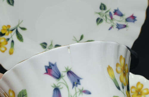 Vintage  Royal Albert "Windermere" Trio  - Cup has chips on bottom rim and a nick on top- see photos