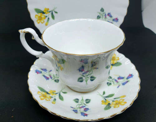 Vintage  Royal Albert "Windermere" Trio  - Cup has chips on bottom rim and a nick on top- see photos