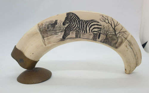 Zebra artwork on Warthog tooth on Brass stand
