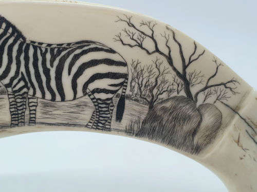 Zebra artwork on Warthog tooth on Brass stand