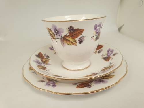 Vintage Queen Anne Bone China Trio- Ridgeway Potteries England - 5 available