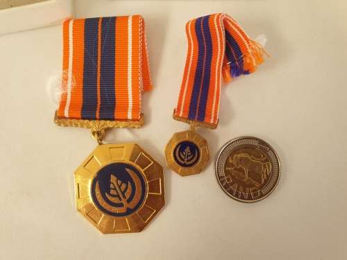Large and Small Pro Patria Medals with ribbons South African Defence Force (SADF) number 86366