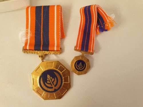 Large and Small Pro Patria Medals with ribbons South African Defence Force (SADF) number 86366