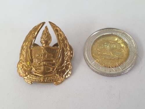 South Africa Military Gymnasium 1950-1967 Brass  cap badge