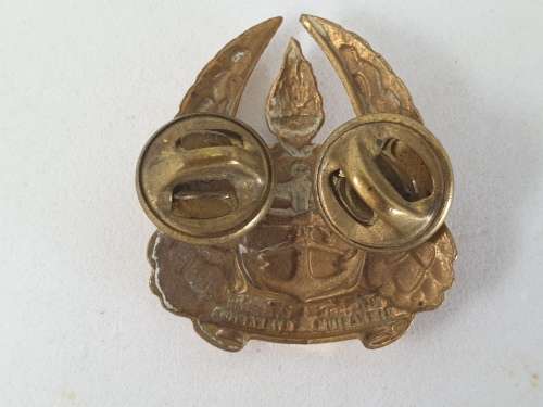 South Africa Military Gymnasium 1950-1967 Brass  cap badge