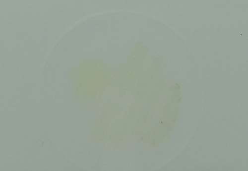 Vintage Royal Albert Val D'or -Plate- 4 available - 241mm ( Back stamp is badly faded )