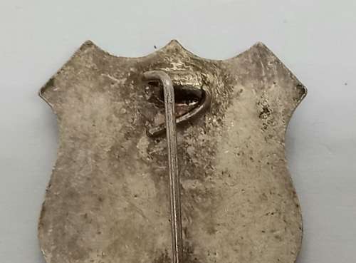 Vintage Orangia pin badge - Vryheid-Geduld en Moed Immigratie  33x26mm