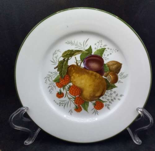 2 Vintage WIESENTHAL Porcelain Plates "Paradise Valley"No 32196-Germany - 202mm