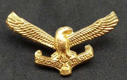 South African Airways SAAF 'Per Aspera Ad Astra' badge - 35x20mm