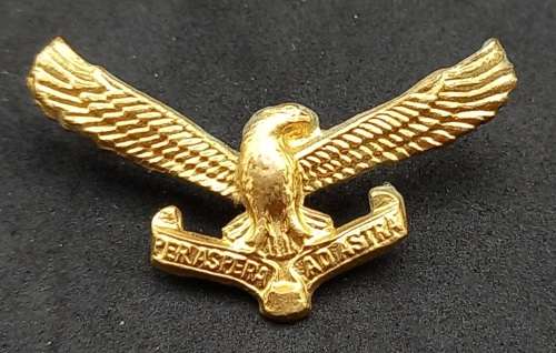 South African Airways SAAF 'Per Aspera Ad Astra' badge - 35x20mm