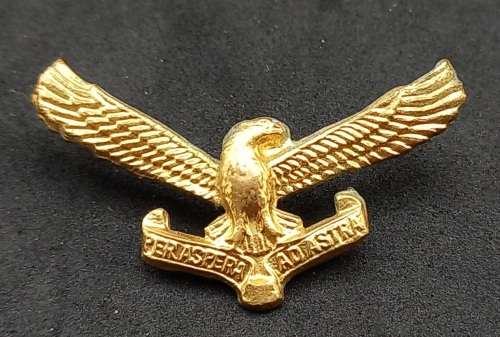 South African Airways SAAF 'Per Aspera Ad Astra' badge - 35x20mm