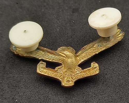 South African Airways SAAF 'Per Aspera Ad Astra' badge - 35x20mm
