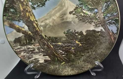 Vintage Royal Doulton MOUNT EGMONT D.6436 Plate 263mm