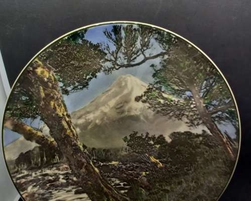 Vintage Royal Doulton MOUNT EGMONT D.6436 Plate 263mm