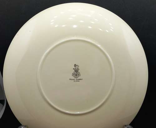Vintage Royal Doulton MOUNT EGMONT D.6436 Plate 263mm