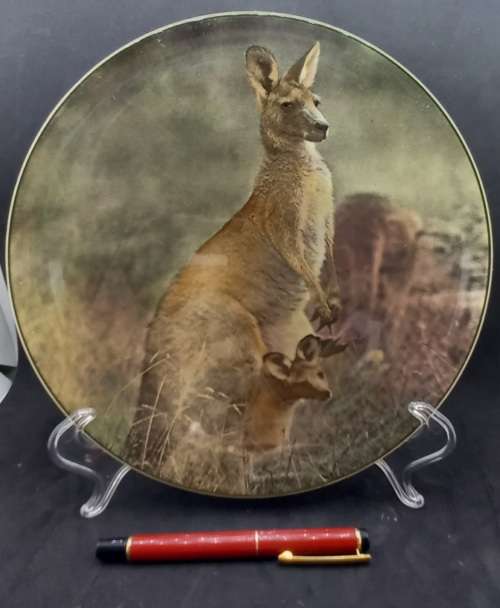 Vintage Royal Doulton Mother Kangaroo with Joey. D.6423 Plate 265mm