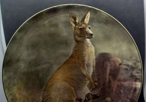 Vintage Royal Doulton Mother Kangaroo with Joey. D.6423 Plate 265mm