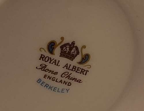 Vintage Royal Albert Berkeley Coffee pot (No Damage)