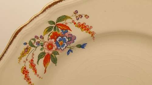 Vintage Alfred Meakin `Cascadia` Plate 230mm England