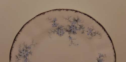 Vintage Paragon `Brides Choice` Stroke-on-trent Side Plate 160mm made in England