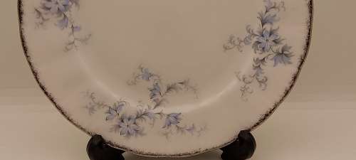 Vintage Paragon `Brides Choice` Stroke-on-trent Side Plate 160mm made in England