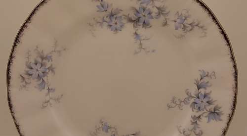 Vintage Paragon `Brides Choice` Stroke-on-trent Side Plate 160mm made in England