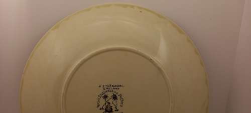 Rare Antique A.J Wilkinson Homeland Series Africa Royal Staffordshire Plate 258mm