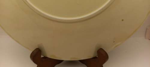 Rare Antique A.J Wilkinson Homeland Series Africa Royal Staffordshire Plate 258mm