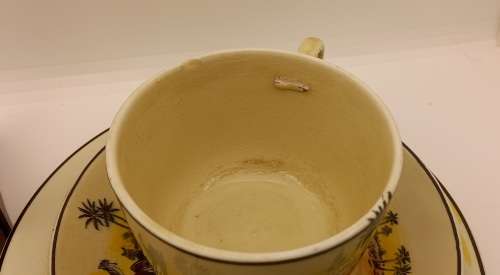 Rare Antique A.J Wilkinson Homeland Series Africa Royal Staffordshire Trio (Cup Damaged)