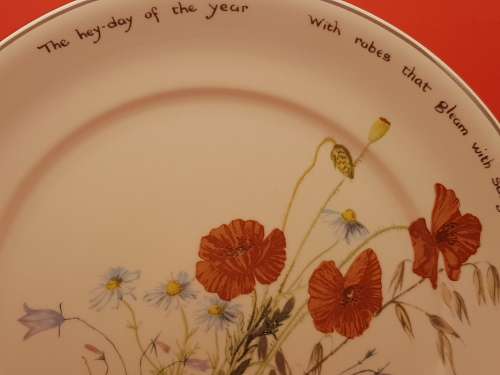 Vintage Noritaki Wall Plate 264mm- The Country Diary of an Edwardian Lady -Ireland