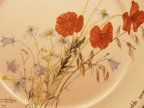 Vintage Noritaki Wall Plate 264mm- The Country Diary of an Edwardian Lady -Ireland