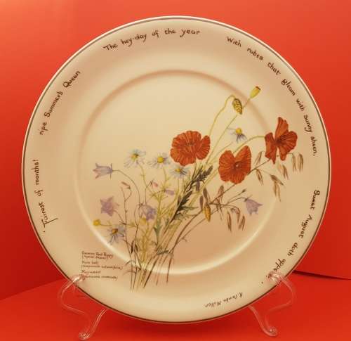 Vintage Noritaki Wall Plate 264mm- The Country Diary of an Edwardian Lady -Ireland