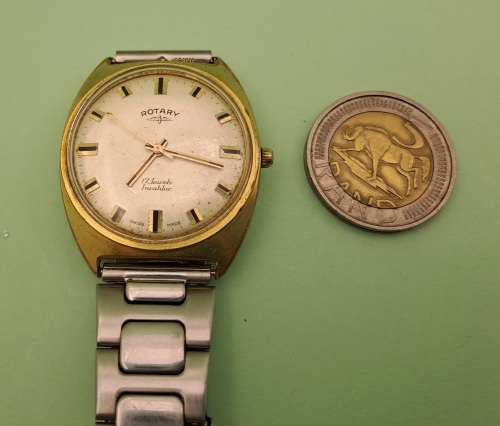 Vintage Swiss Made Rotary Incabloc Manual wind watch -17 Jewels- working -Speidel Band