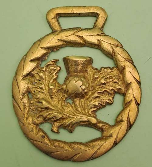 Vintage Horse Brass: Scottish Thistle