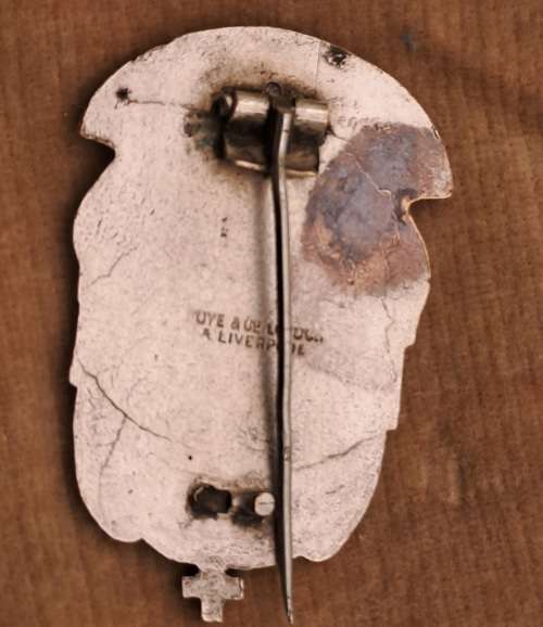 Vintage Viritas badge?
