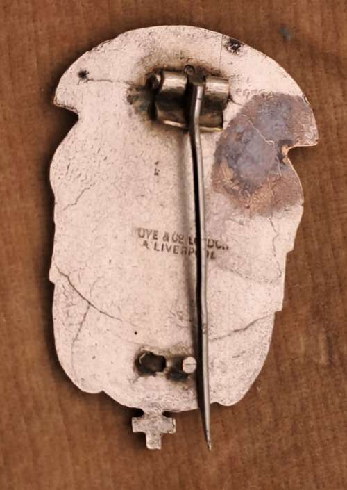 Vintage Viritas badge?