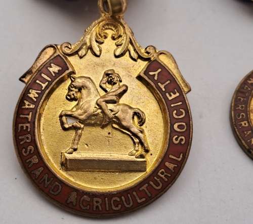 Two 1936 to 1937 W.A.S (Witwatersrand Acricultural Society)Horse show Medals No 31 and 943