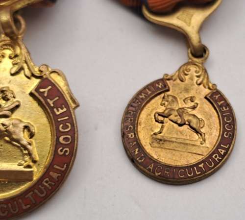Two 1936 to 1937 W.A.S (Witwatersrand Acricultural Society)Horse show Medals No 31 and 943
